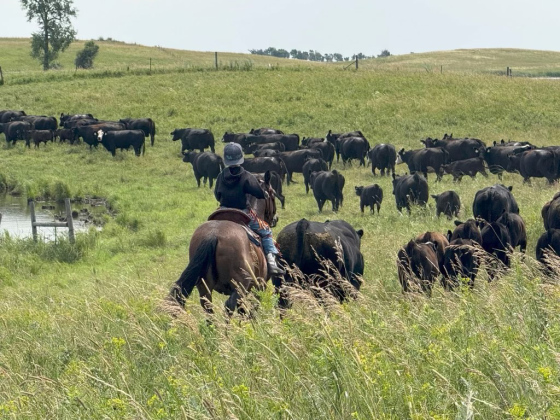 (PHOTO COURTESY SDFU)