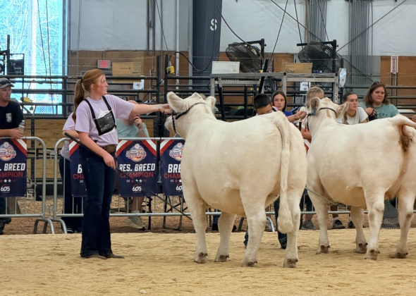 Brookyn Caffee in action at the South Dakota State Fair Sept. 2-7 in Huron, SD. (PHOTO COURTESY ERIN YOST)