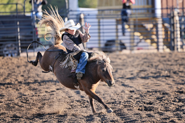 In last year’s Bad River Youth Rough Stock Rodeo held in Wessington Springs, Tatyn Hins competed in the Bareback, Saddle Bronc and Bull riding events in the 6-8 age category. The event drew over 500 youth to the Jerauld County 4-H grounds. This year’s event is scheduled for Sept. 13, 2026. (TRUE DAKOTAN FILE PHOTO)