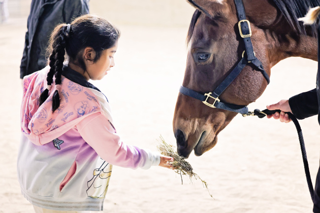 Wessington Springs Elementary students enjoyed some hands-on fun during the first annual FFA Petting Zoo. Pictured, Mariza Ochoa feeds Star, Ella Kolousek’s quarter horse.