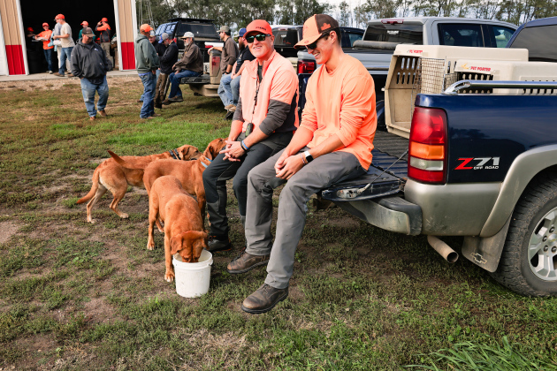 MAINTAINING HYDRATION IN BIRD DOGS