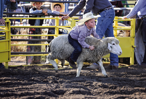 In last year’s Bad River Youth Rough Stock Rodeo held in Wessington Springs, Stocktyn Schweitzer held on tight during the age 4-6 Mutton Bustin’. The event drew over 500 youth to the Jerauld County 4-H grounds. This year’s event is scheduled for Sept. 13, 2026. (TRUE DAKOTAN FILE PHOTO)