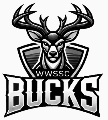 Bucks show progress despite loss to Chamberlain