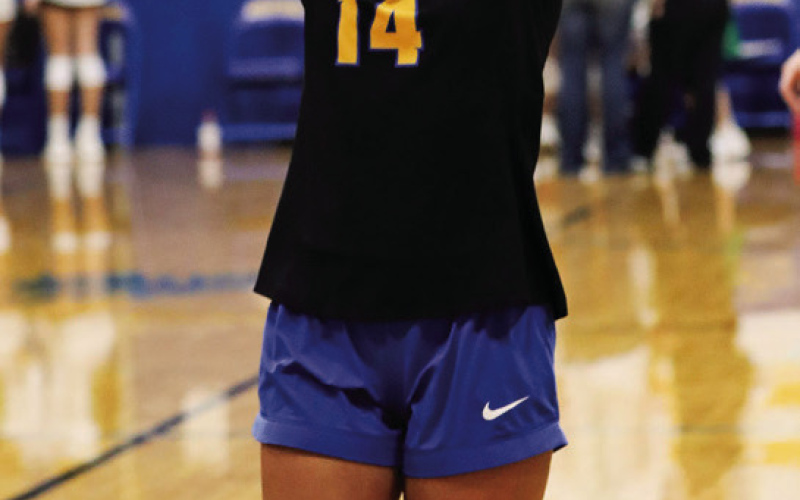 Third in Region 5B, Lady Spartan