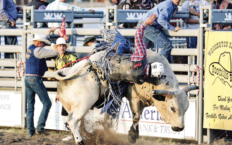 Bucking bulls and good times scheduled for September 10