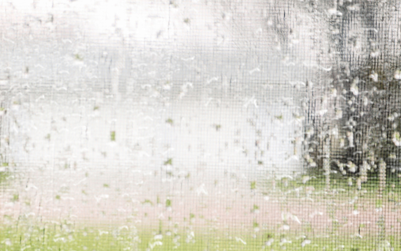 Widespread rain drenched the drought-stricken region over the weekend.