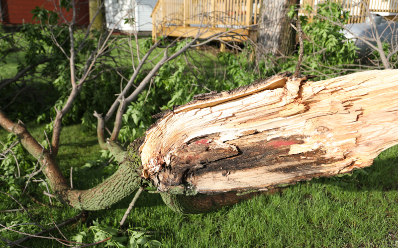 Local area avoids most severe storms