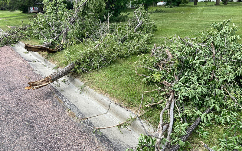 Municipal storm cleanup scheduled for Alpena, Lane and Wessington Springs