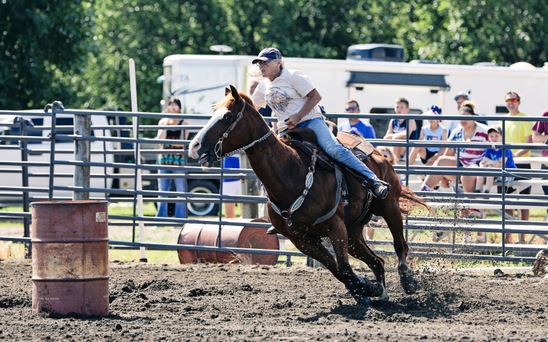 Jean Shultz won first (17.411) in 2D Placings and 2nd (17.411) in 3D Placings.