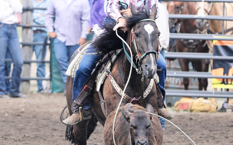 Ladies breakaway contestant Megan Pivec of Jordan, Minn. is pictured mid-throw during the 19th Annual Wessington Springs Foothills Rodeo.