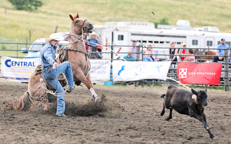 During the Saturday night calf roping performance, Ty Moser of Wolsey took home third place with a time of 10.20.