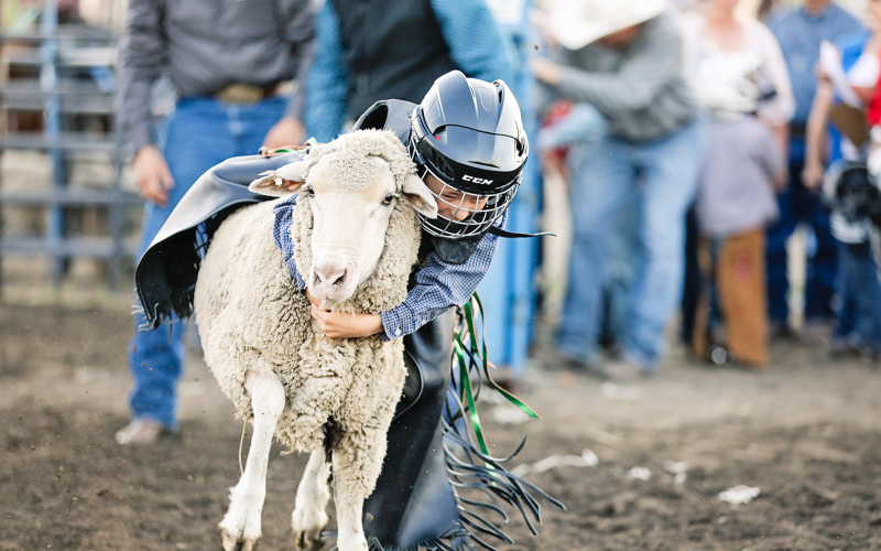  Kids from near and far, including Tilden Carroll of Highmore, lined up to take their turn for a wild ride during mutton bustin’. The entertaining event was held both evening performances.