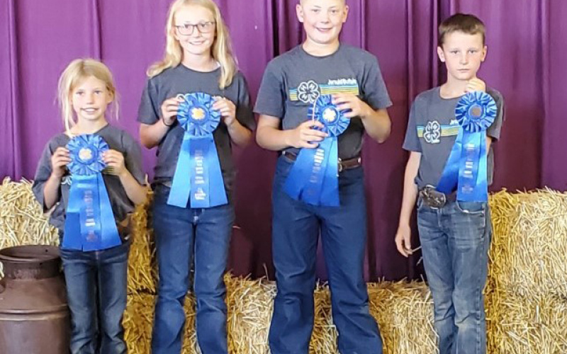 Crawleigh Reiner, Lily Roesler, Wyatt Fagerhaug, Hastin Heezen - 1st Place Beginner Horse Judging Team.