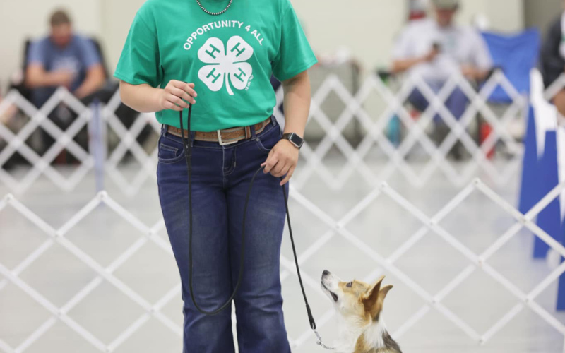 Mercedes Jones and her dog Bailey compete in their first state 4-H dog show.