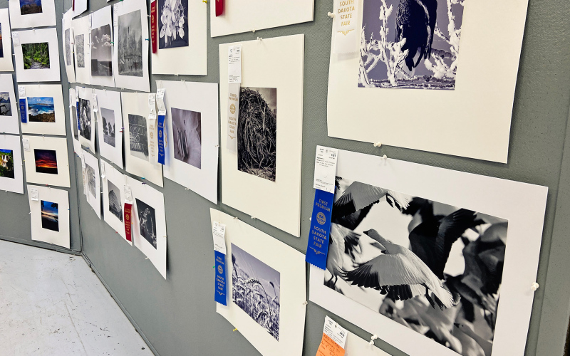 Talented photographers abound in the area and were recognized with first premium blue ribbons in the adult photography exhibit. One of Darrell Deneke’s entries is shown in the foreground.