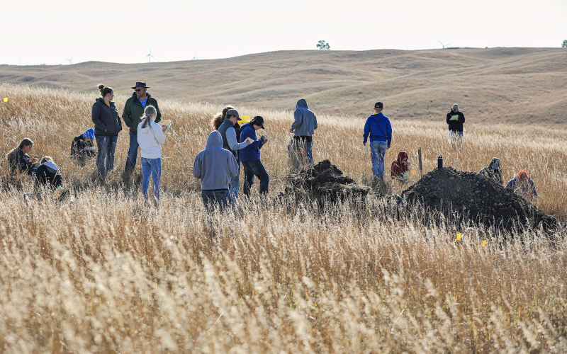 Sites are chosen based on criteria that include variety of soil structures and plant life.