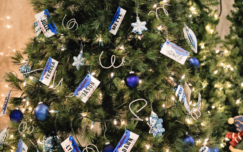 The Jerauld County Treasurer tree at the courthouse showcases personalized license plates for all courthouse employees and also gives a glimpse of new South Dakota license plates, available in 2023.