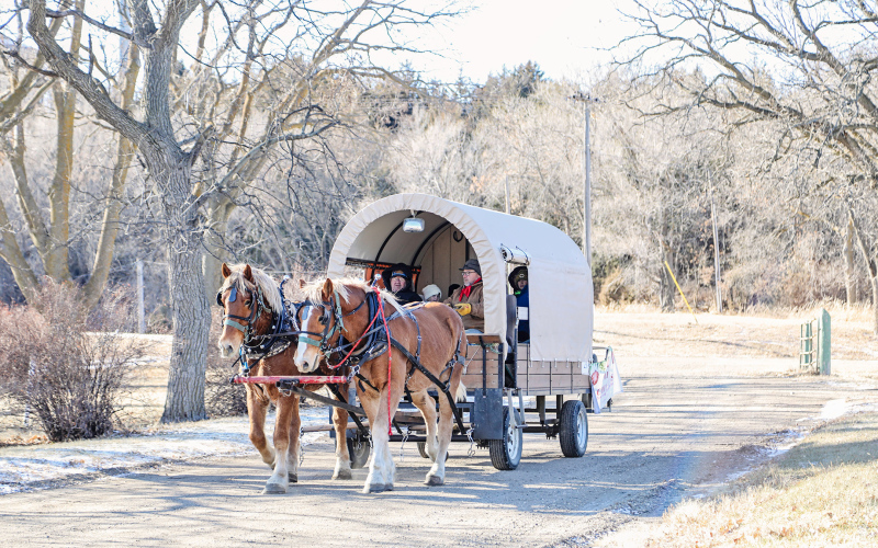 “Winter Magic in the Park” evoked a captivating Christmas sparkle at the Field House and along the trails at the Wessington Springs City Park with horse-drawn wagon rides, hot cocoa and a visit from Santa, The Grinch and his Jolly Elf. 