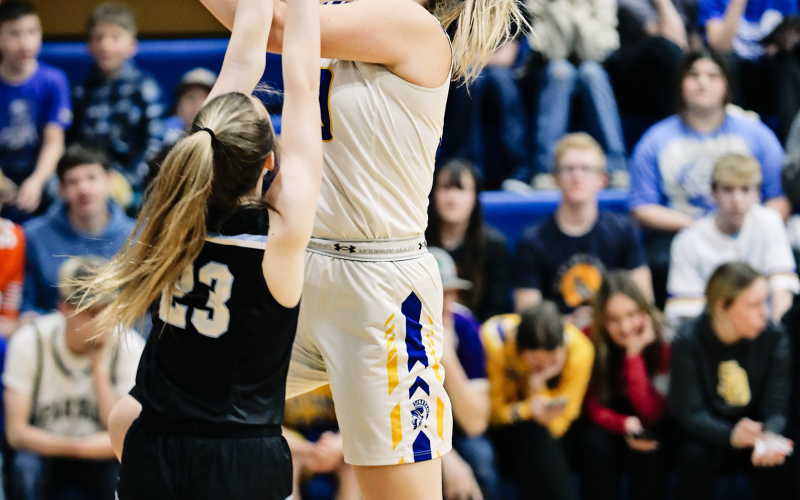 Avery Orth during second round regional basketball action Tuesday.