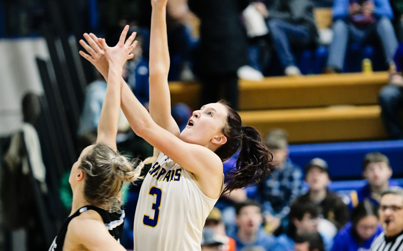 Carissa Scheel during Tuesday's home victory: Wessington Springs 49, Tripp-Delmont/Armour 25.