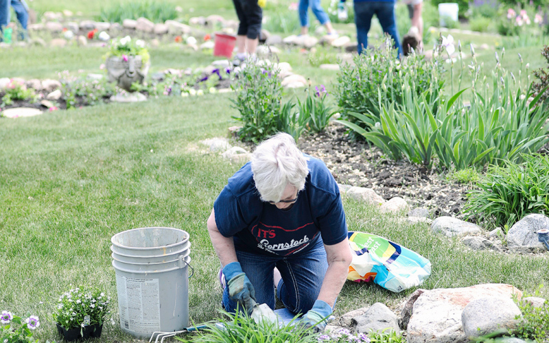 Marcella Andersen and Jean Scheel (not pictured) tackled the weeding to begin with in their flower bed located on the west side of the garden.