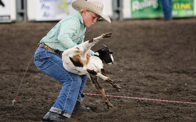 Wessington Springs High School (WSHS ) student Raylee Fagerhaug was one of the local contestants in the goat tying event. Read more about Fagerhaug and her upcoming trip to the National High School Finals Rodeo on PAGE EIGHT.
