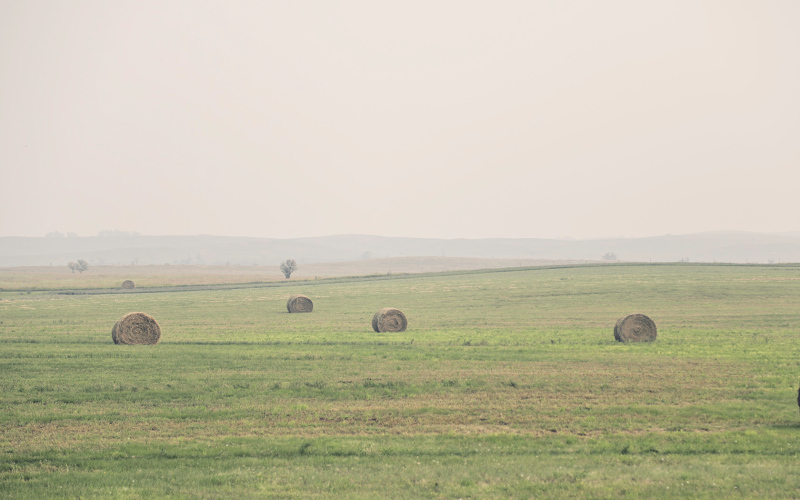 KRISTI HINE / TRUE DAKOTAN Smoke from wildfires in Canada hung over the prairie west of Alpena on Saturday.