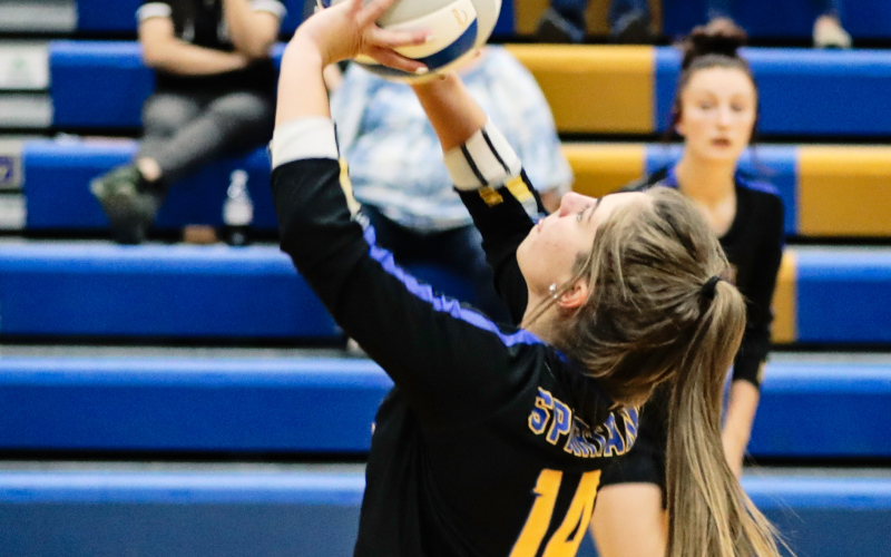 Alyssa Grohs racked up 30 assists for Wessington Springs during the game.