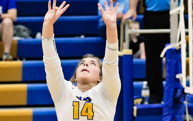 Alyssa Grohs setting up the Springs offense with 38 assists.