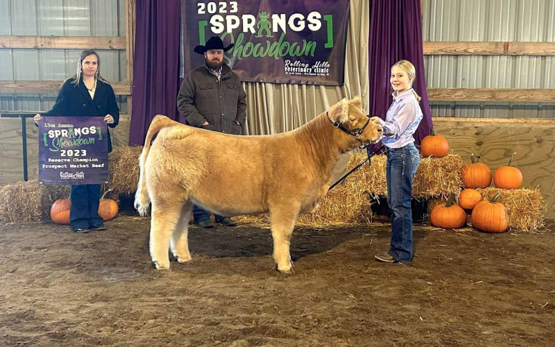 Kaebry Woodin of Wessington Springs exhibited the Reserve Market Beef at the Springs Showdown with her market heifer.