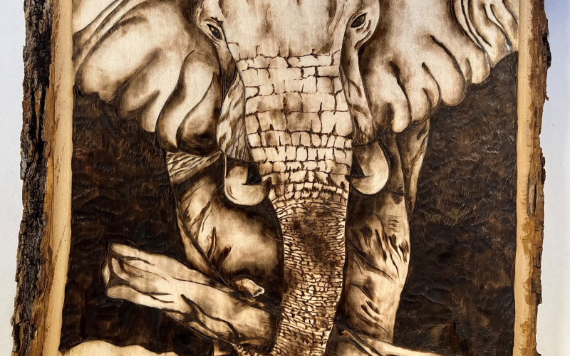 From the halls of WSHS we bring a project completed by Advanced Art III senior, Haeleigh Mulder.