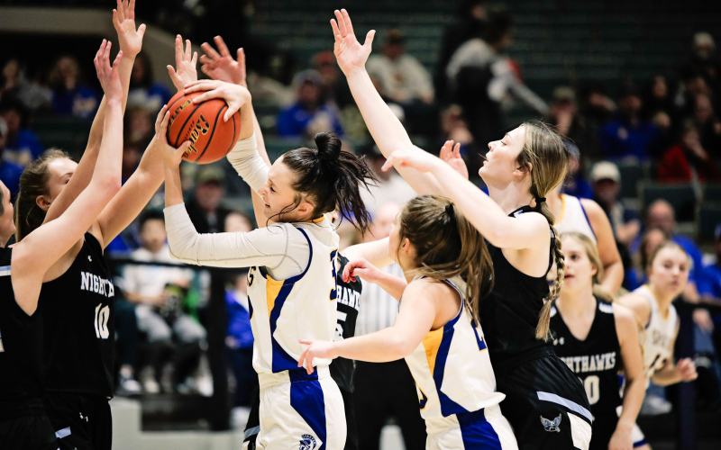 Carissa Scheel during Region play vs. TDA at the Corn Palace in Mitchell.