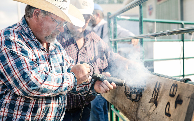 Pat Fastnacht burns a board with his brand, as his dad Jerry looks on.