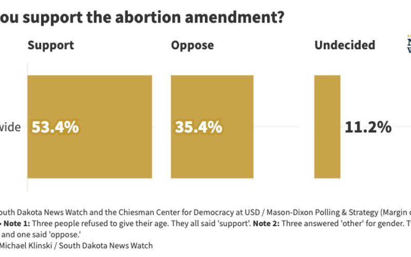 Poll: Amendment to expand South Dakota abortion rights has nearly 20-point lead