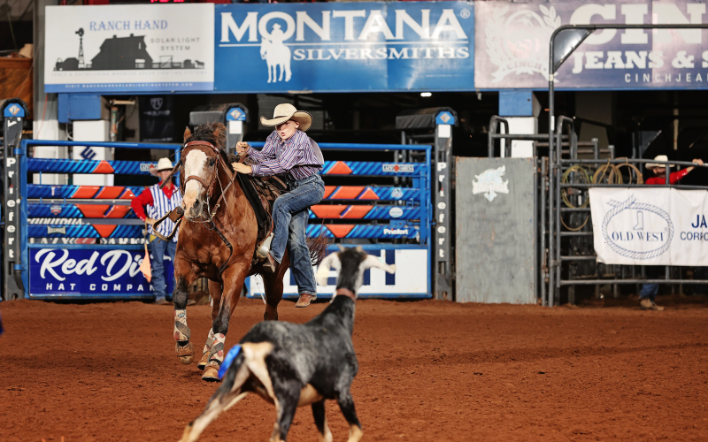 Lawson Fagerhaug during goat tail untying action at the NLBRA National Finals Rodeo. PHOTO COURTESY BY PHIFER/RODEO BUM