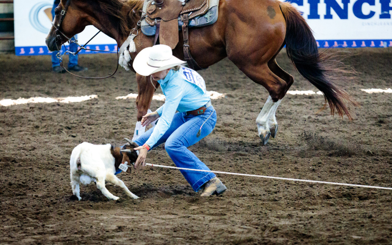 Londyn Mikkelson placed 11th in the overall average for girls goat tying at the National Jr. High Finals Rodeo held June 23-29 at Des Moines, IA. PHOTO COURTESY JAIMI LAMMERS