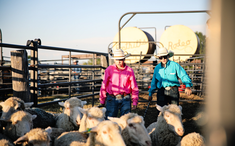 Foothills Rodeo 2024 Draws Record Crowd