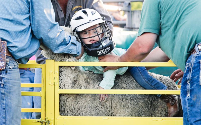 Foothills Rodeo 2024 Draws Record Crowd