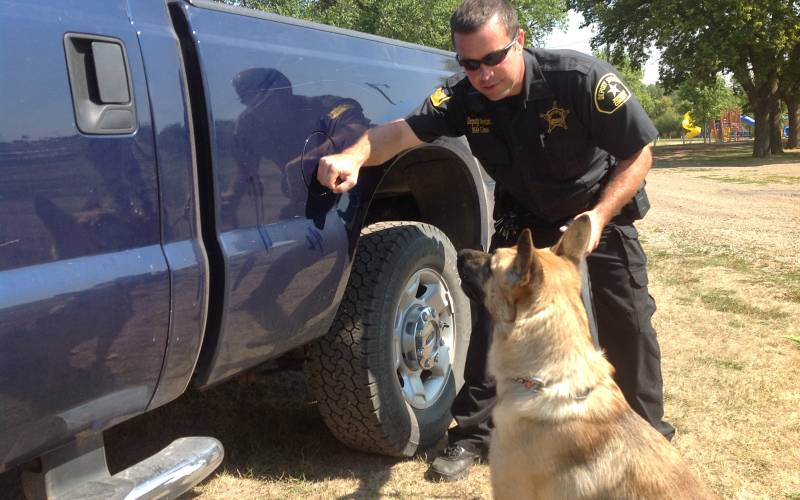 Shane Mentzer and the county’s K-9 dog, Ajax, go through a training session in Wessington Springs. Mentzer, the dog’s only handler, trains the animal by hiding a small amount of drugs somewhere in the vehicle and allows the dog to find it using his sensitive nose. TRUE DAKOTAN FILE PHOTO