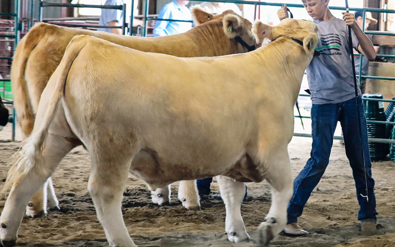 Hunter Heezen during Achievement Days round robin.