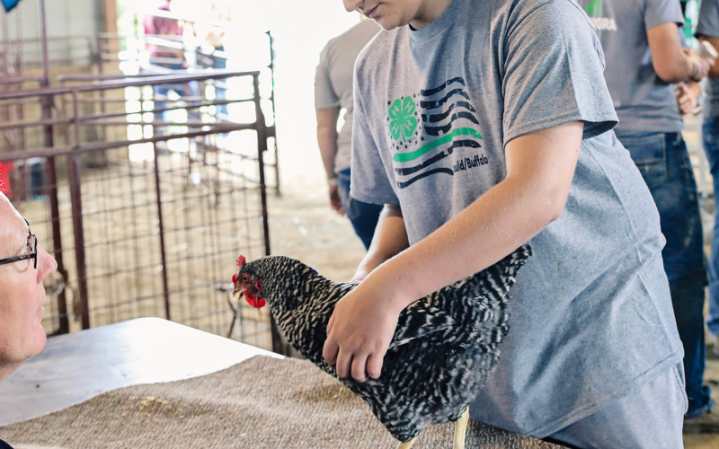 Will Bruckner discusses his project with Poultry judge Wayne Fischer.