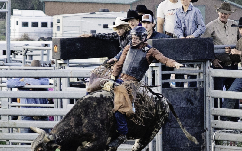 Of the top 12 in the Territorial Professional Bull Riding standings (TPBR), Tyson Hill of Kadoka ended up with the champion buckle. He also won the Tyler and Tucker Easton Memorial Buckle for highest points, given by the Easton family. Among the top five juniors in the TPBR standings, Wyatt Nelson of Webster took home the top prize, also winning the Tyler and Tucker Easton Memorial Buckle in the junior division for highest points, given by the Easton family.