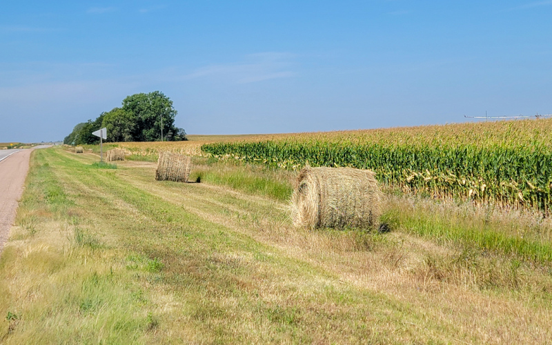 Deadline for Hay Removal from Highway Ditches is Oct. 1