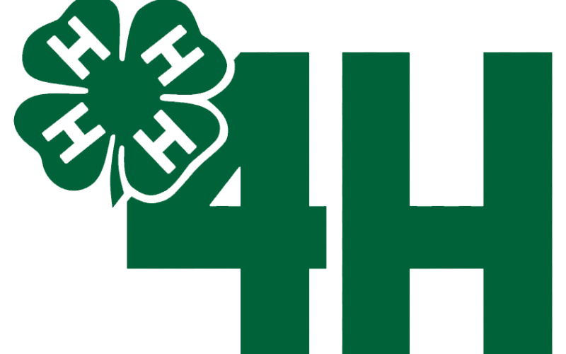 Jerauld-Buffalo 4-H Members Among 2024 Premier Exhibitor Award Recipients