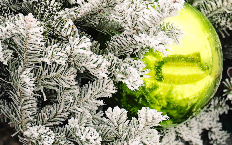 Nature’s flocking was on full display throughout the county, adding a little pizazz to the community Christmas tree on Wessington Springs’ Main Street on Christmas Eve.