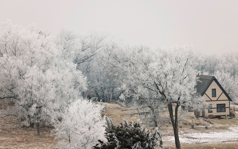 Fleeting winter beauty across the region