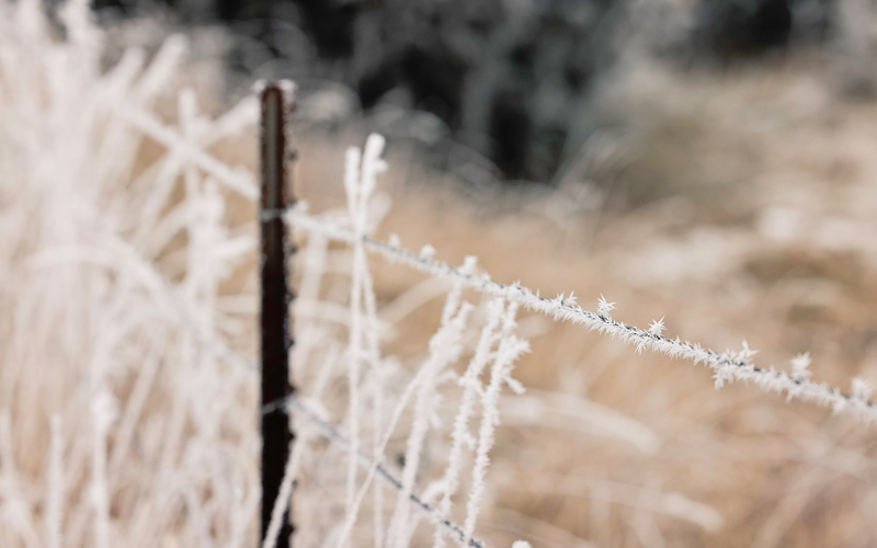 Fleeting winter beauty across the region