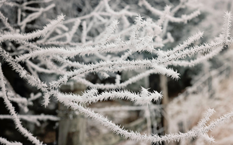 Fleeting winter beauty across the region