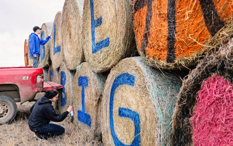 Teagan and Carissa Scheel carefully spray paint hay bales along Highway 281 with the inspiring “Go Blue, Love Big” message, that not only supports the Spartans but also honors the memory of the Spartans’ biggest fan, the late Lisa Bergeleen.