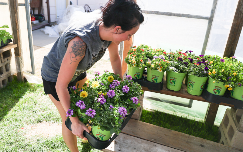 Bethany Schimke, 2nd and Bloom Flower Shop owner, recently purchased the seasonal floral and plant greenhouse formerly known as Petal Pushers from Wessington Springs resident Tony Aldrich. She is pictured  on Sunday, May 4, 2025, unloading a trailer of plants, hanging baskets, vegetables and many other garden goodies that will be available for sale beginning May 10, 2025.